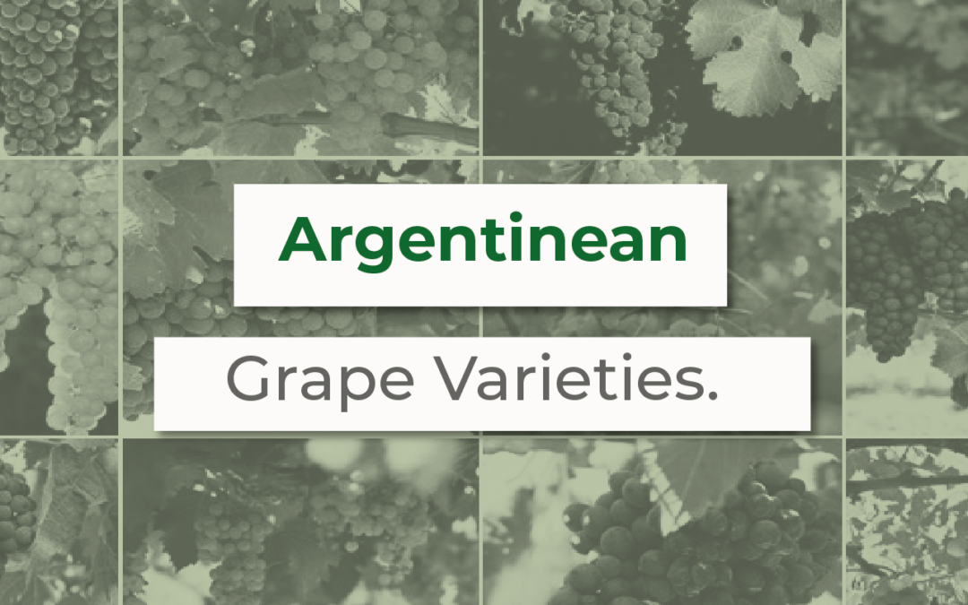 Qué variedad se expresa mejor en cada región vitivinícola de Argentina?